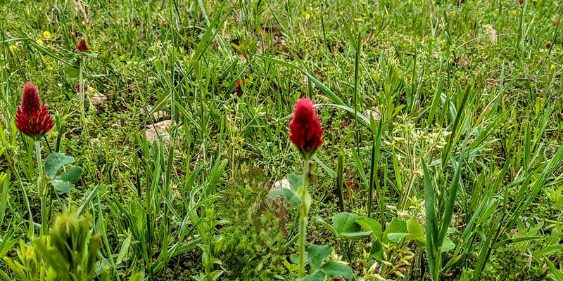 Camper submitted image from Cary Lane RV Park