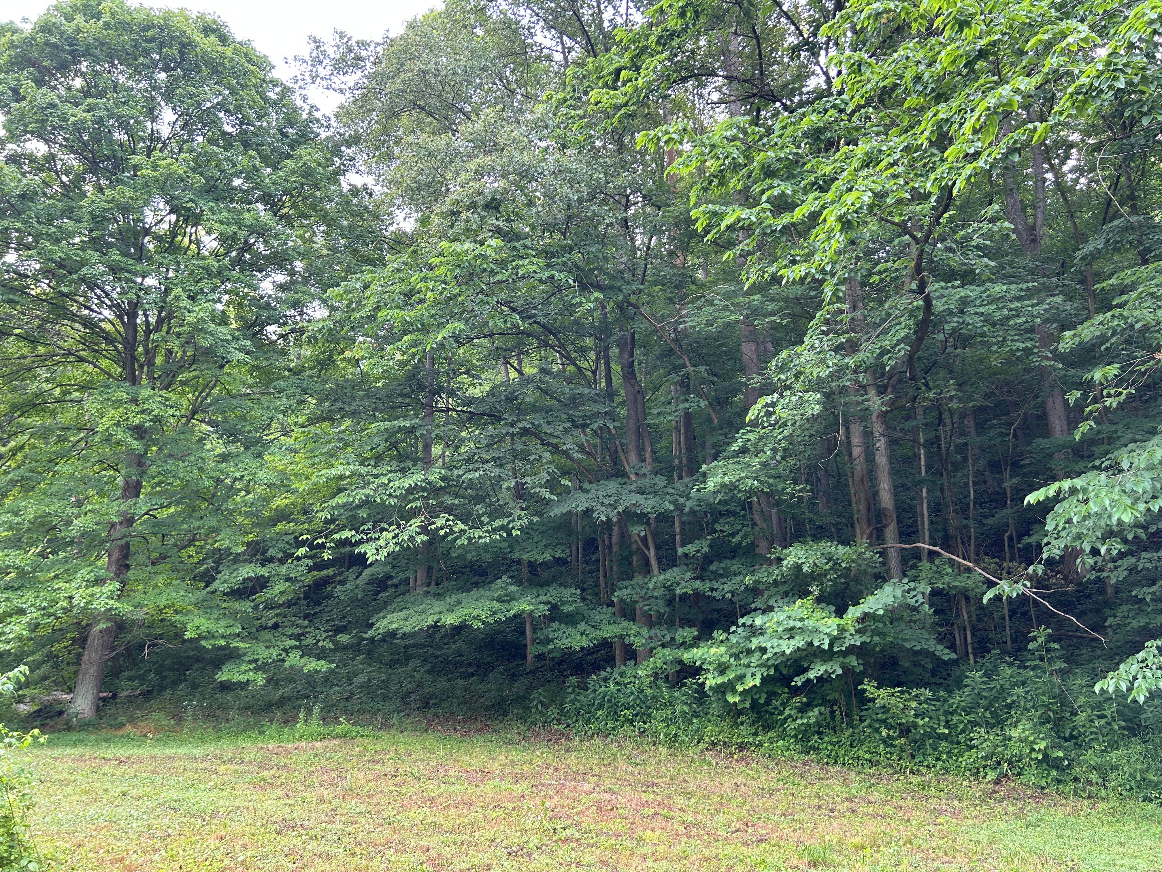 Camper-submitted photo at Rockwood near Waverly, OH