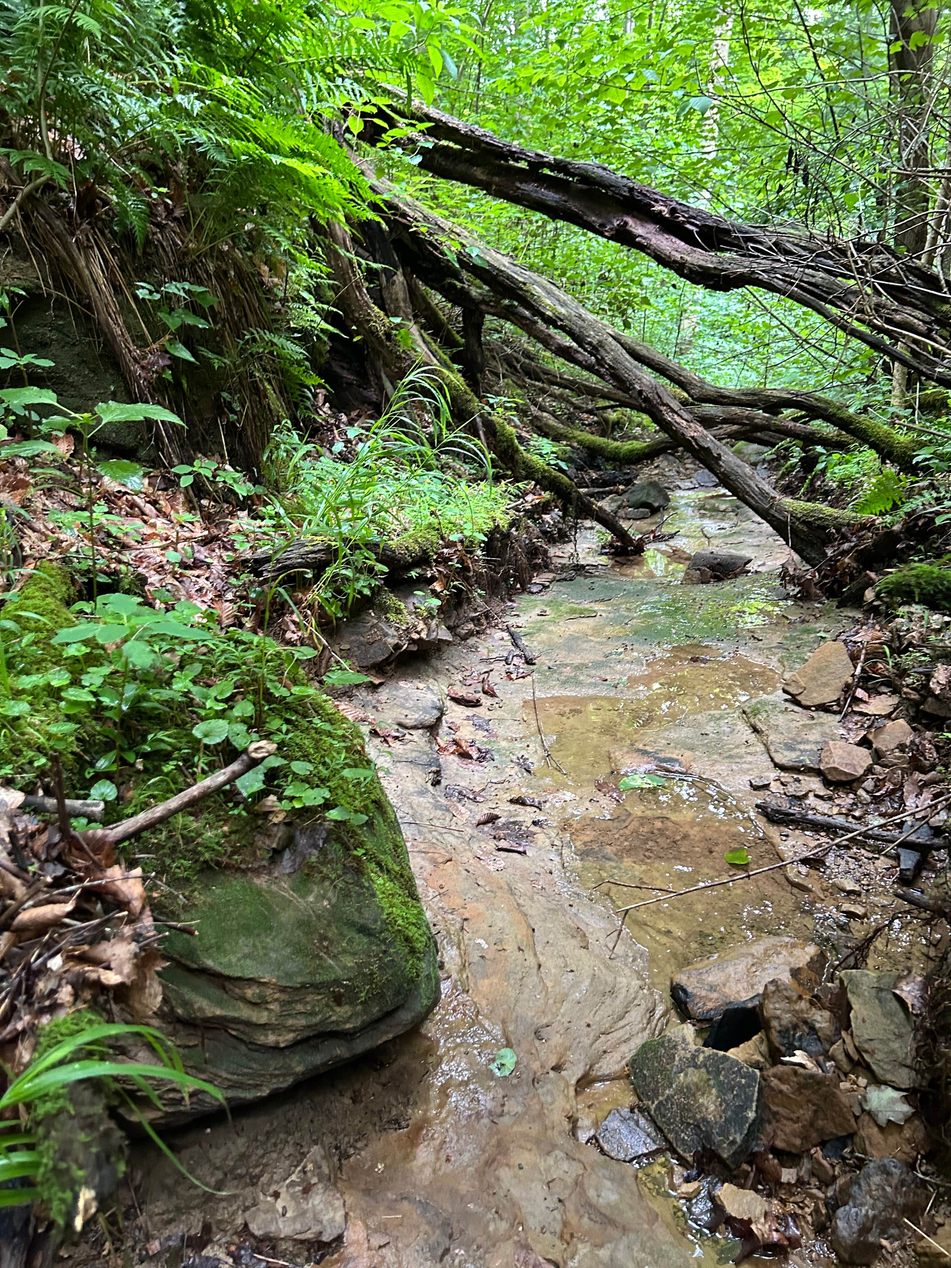Camper-submitted photo at Rockwood near Waverly, OH