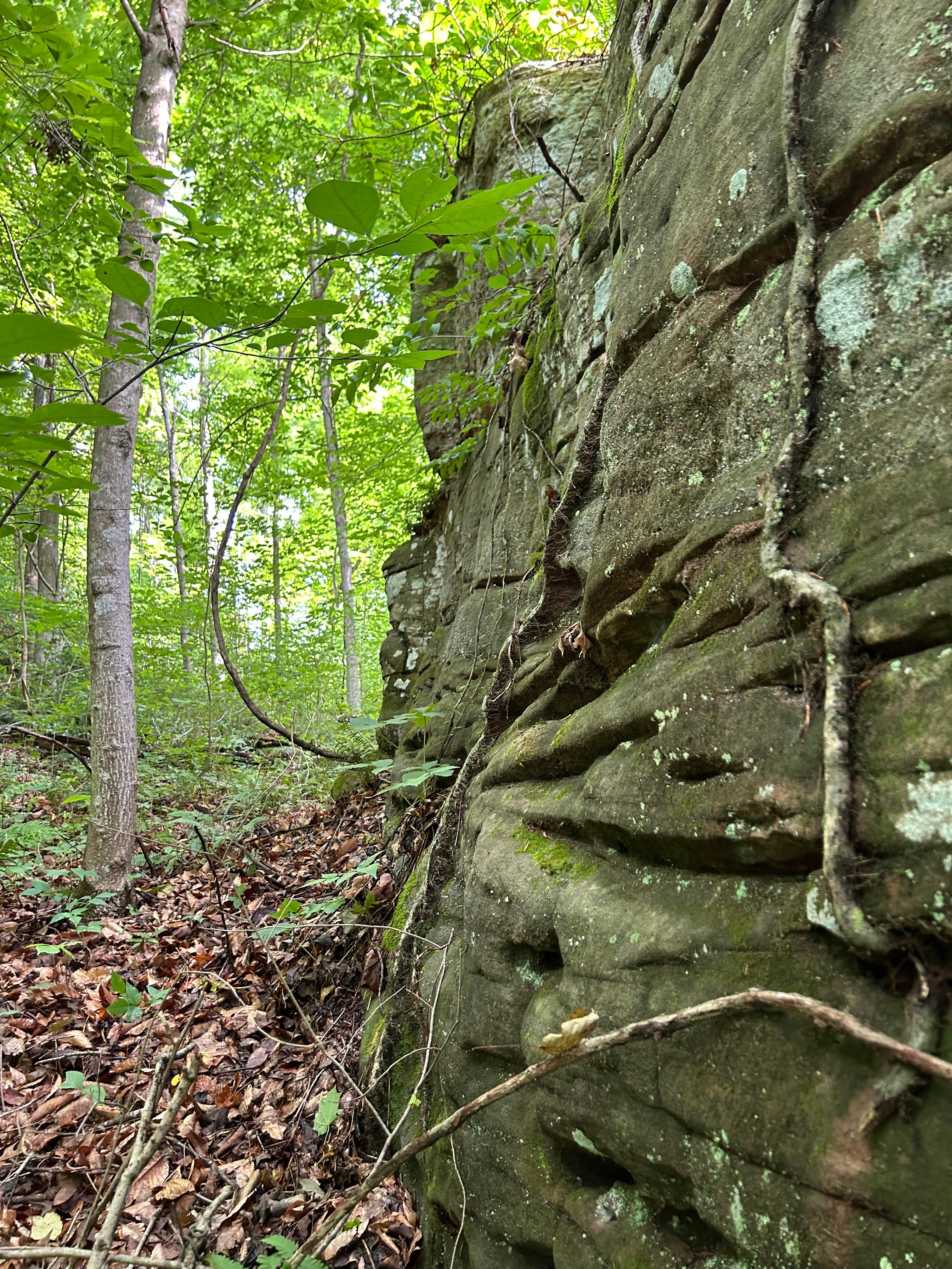 Camping near Hocking Hills State Park Campground: Rockwood, South Bloomingville, Ohio