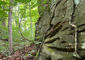 Rockwood