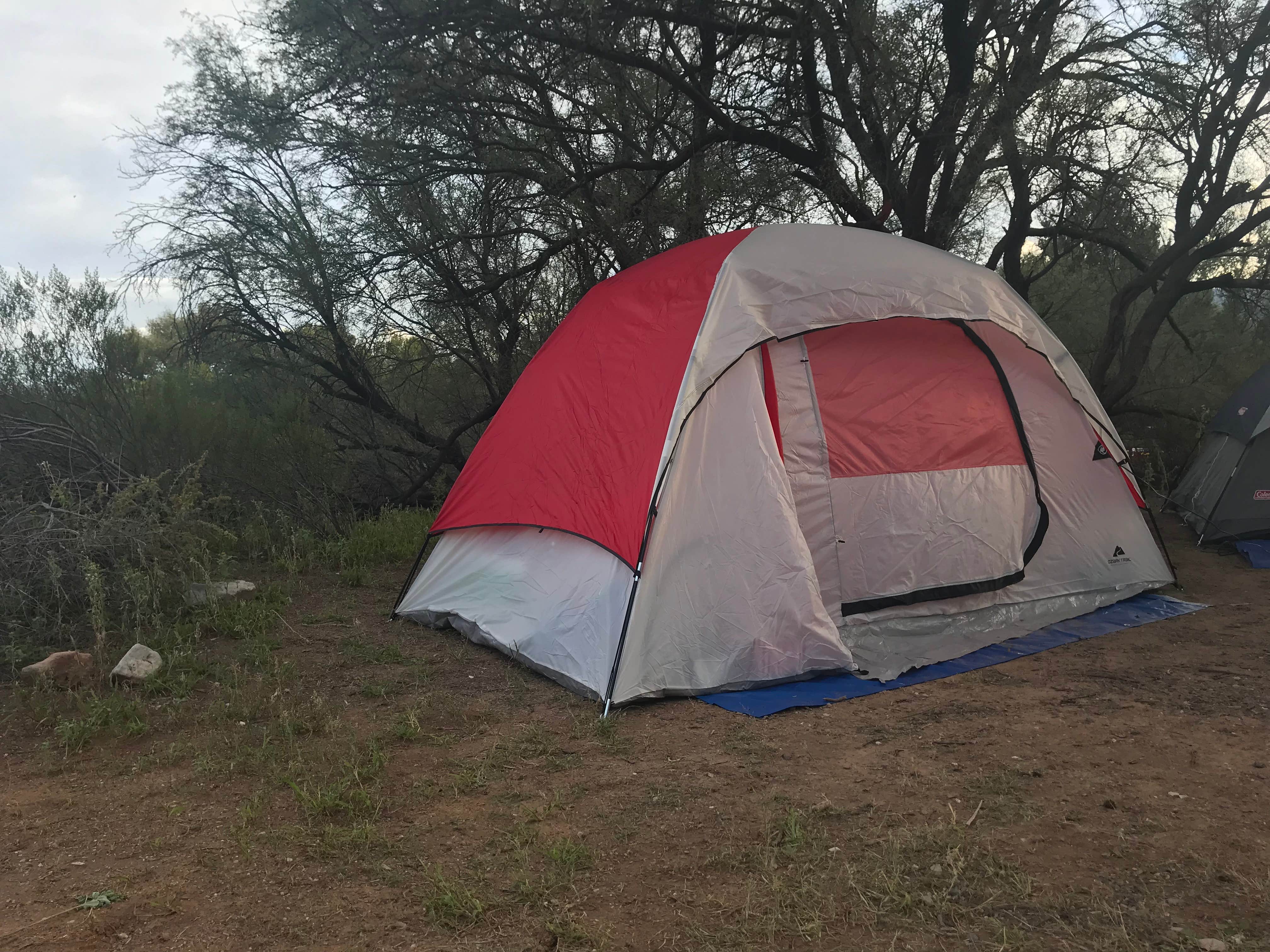 Leslie  I.'s photo at Dead Horse Ranch State Park Campground near Cornville, AZ