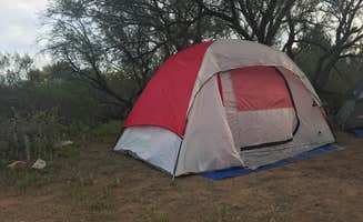 Leslie I.'s photo at Dead Horse Ranch State Park Campground near Cornville, AZ