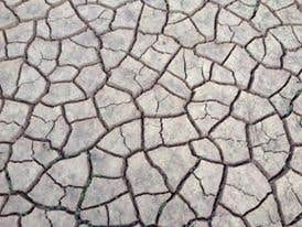 Camper-submitted photo at Paonia State Park Campground near Crested Butte, CO