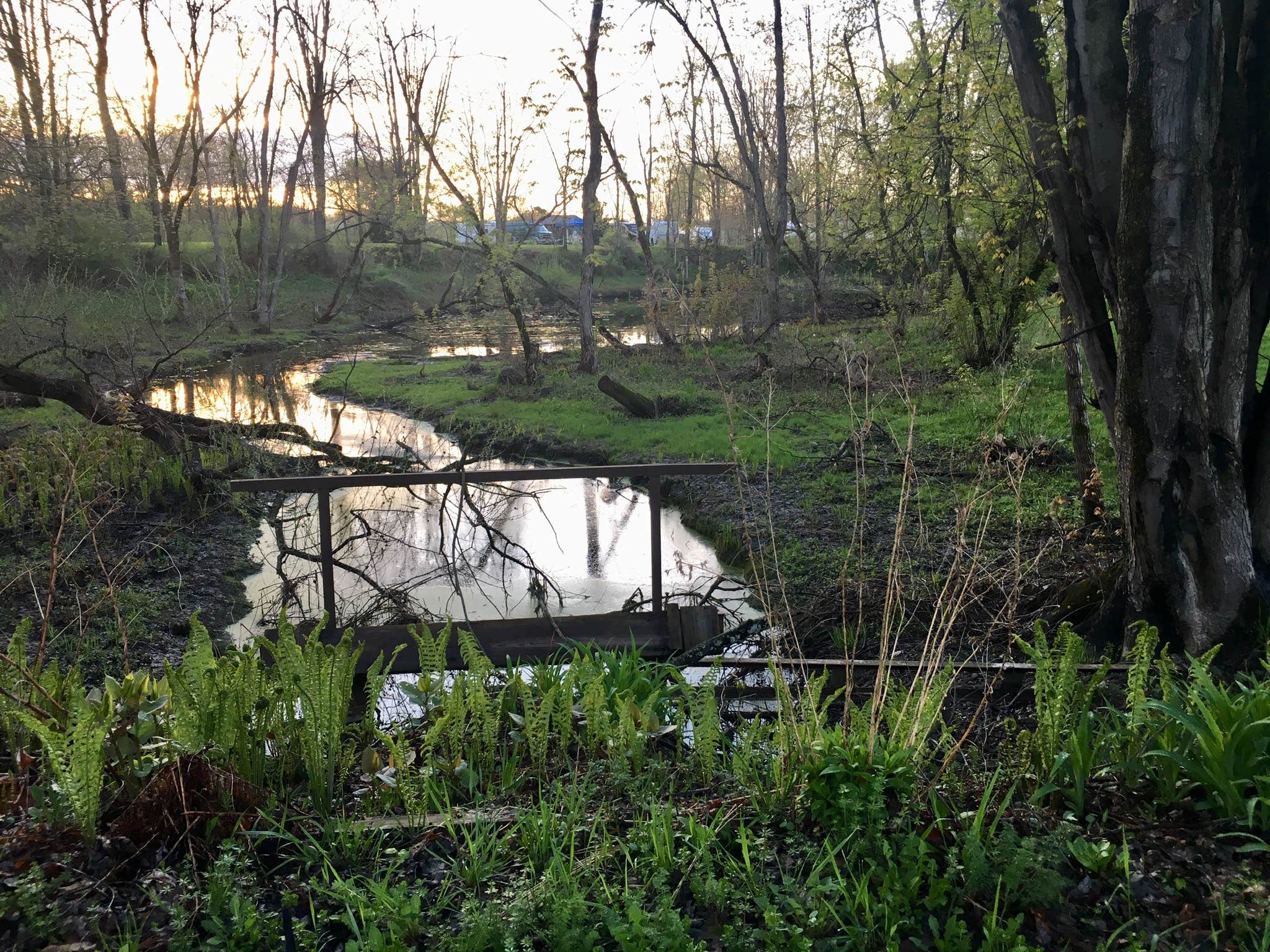 Camper submitted image from Mayfair Campground NY - 3