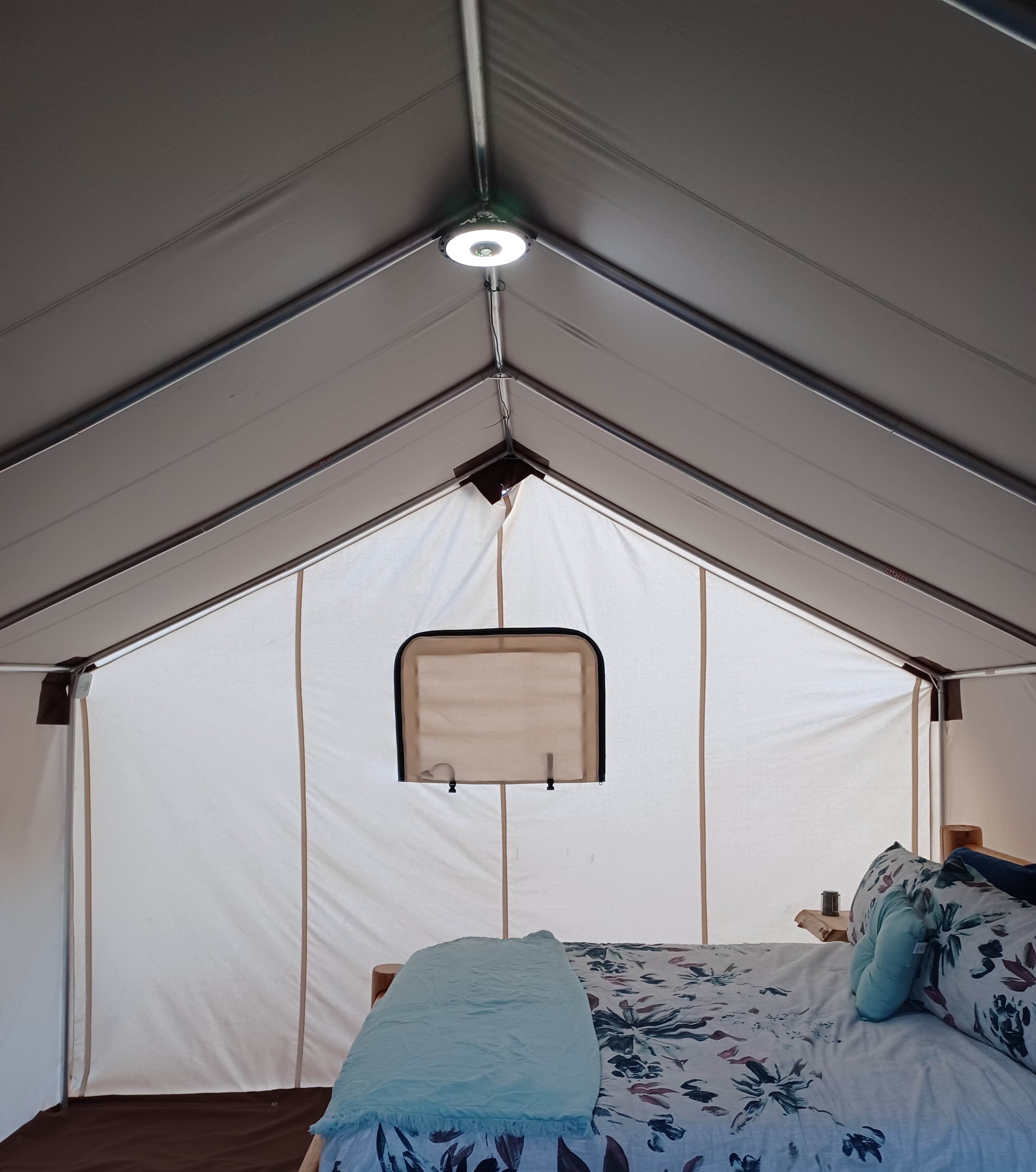 Camper-submitted photo at Bear Bottom Cabins and Glamping near Lake George, CO