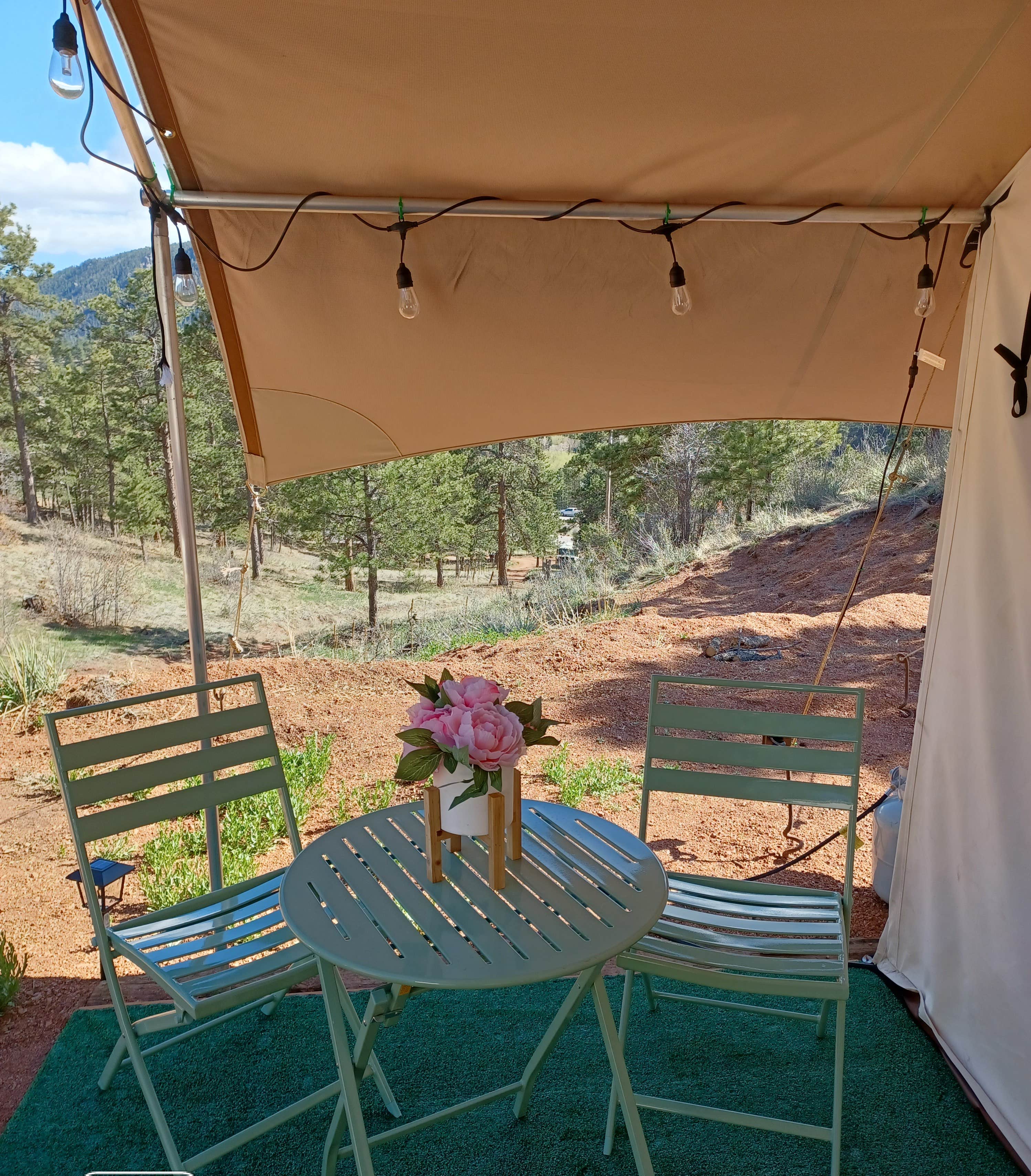 Camper-submitted photo at Bear Bottom Cabins and Glamping near Lake George, CO