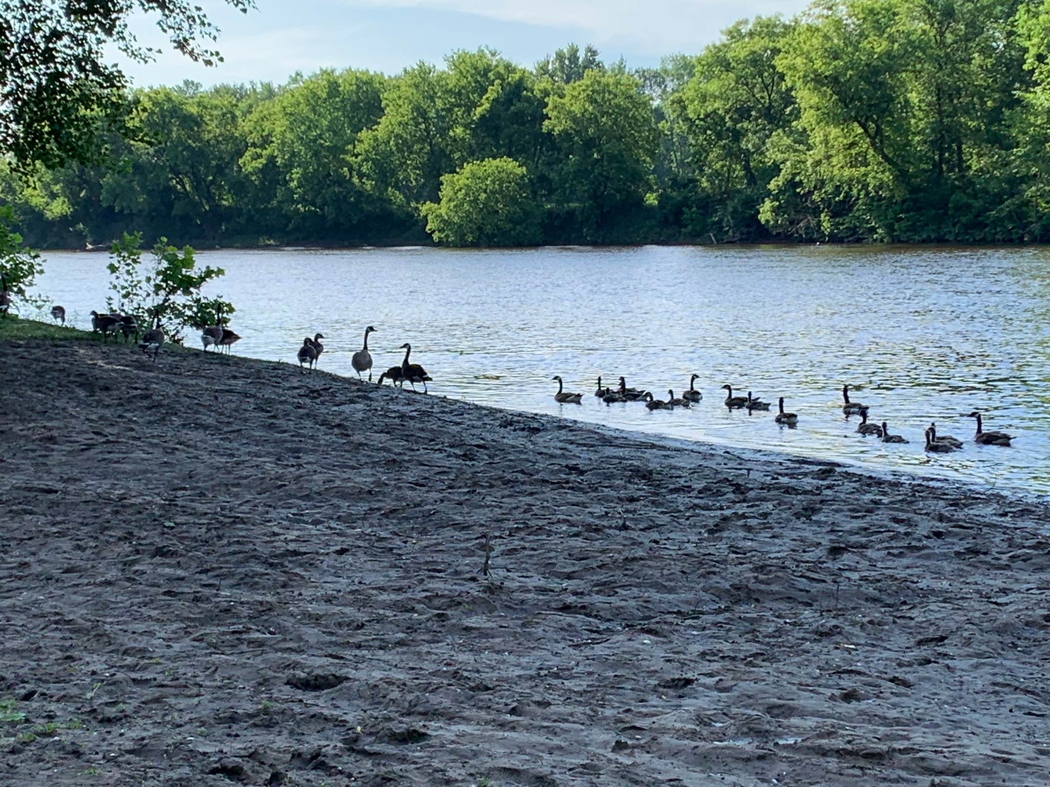 Camper submitted image from Mayfair Campground NY - 4