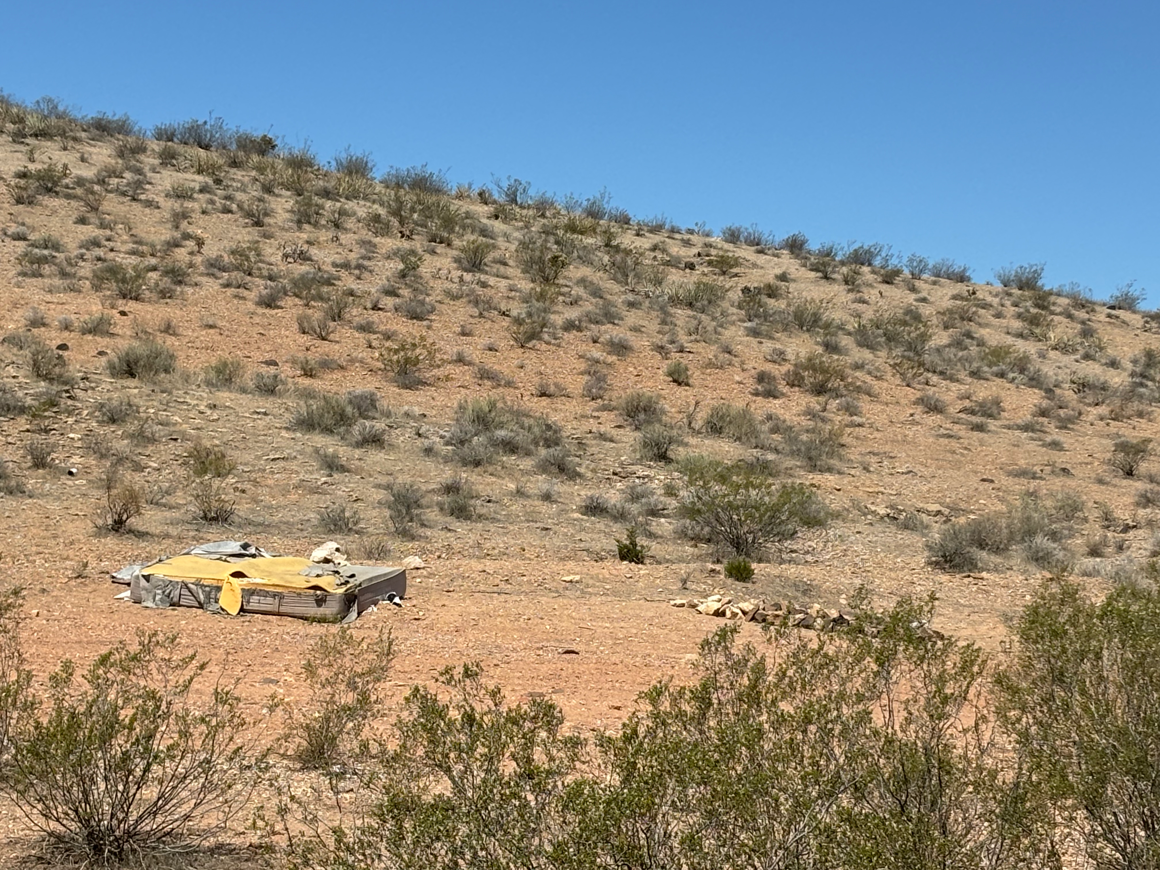 Camping near Sand Hollow OHV Camp: Mount Trumbull Loop Dispersed, St. George, Arizona