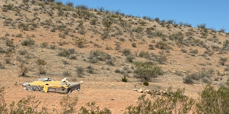 Camper submitted image from Mount Trumbull Loop Dispersed