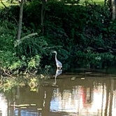 Review photo of Mayfair Campground NY by Karen F., July 25, 2019