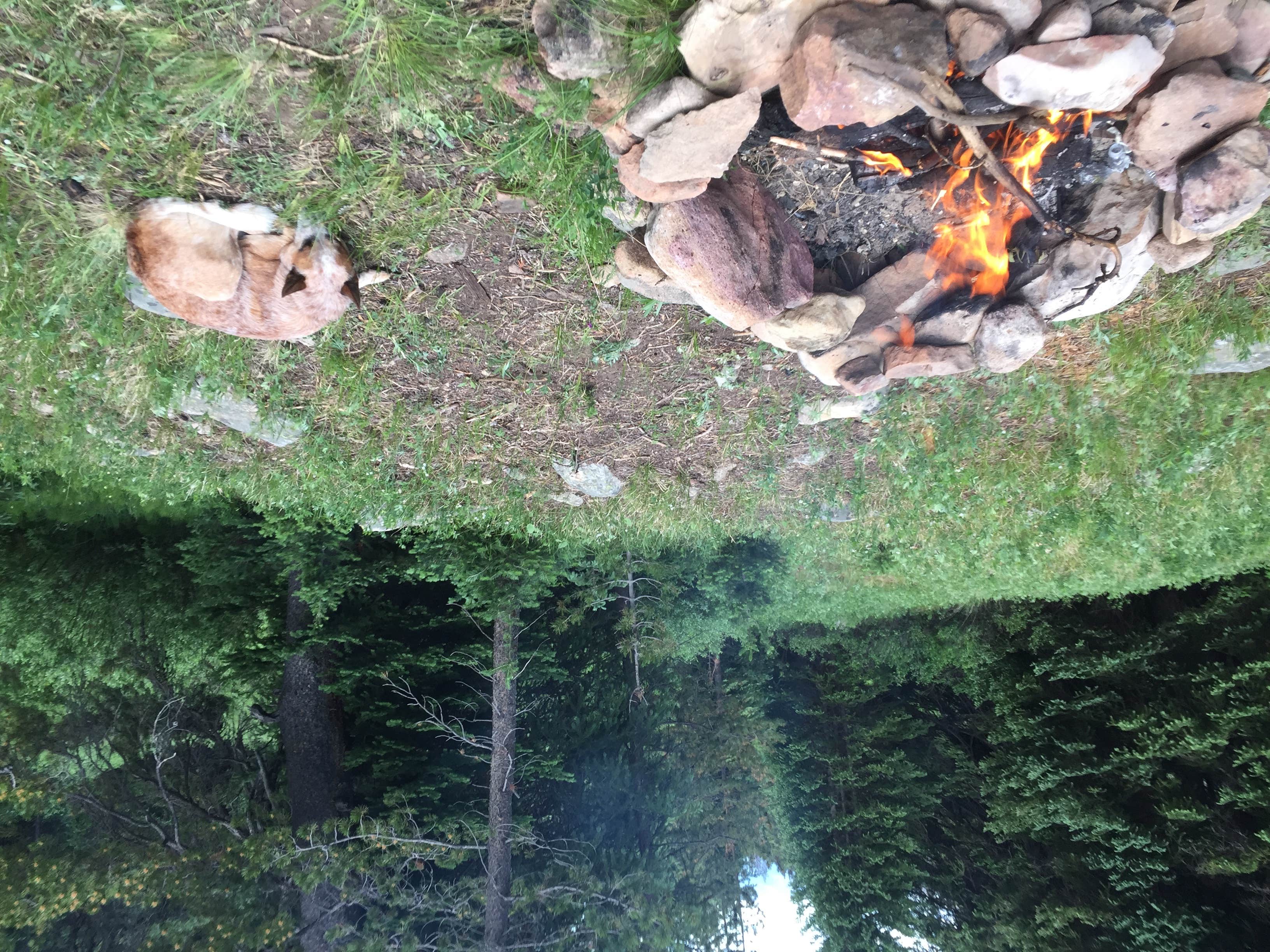 Camper submitted image from Horseshoe Campground - 5