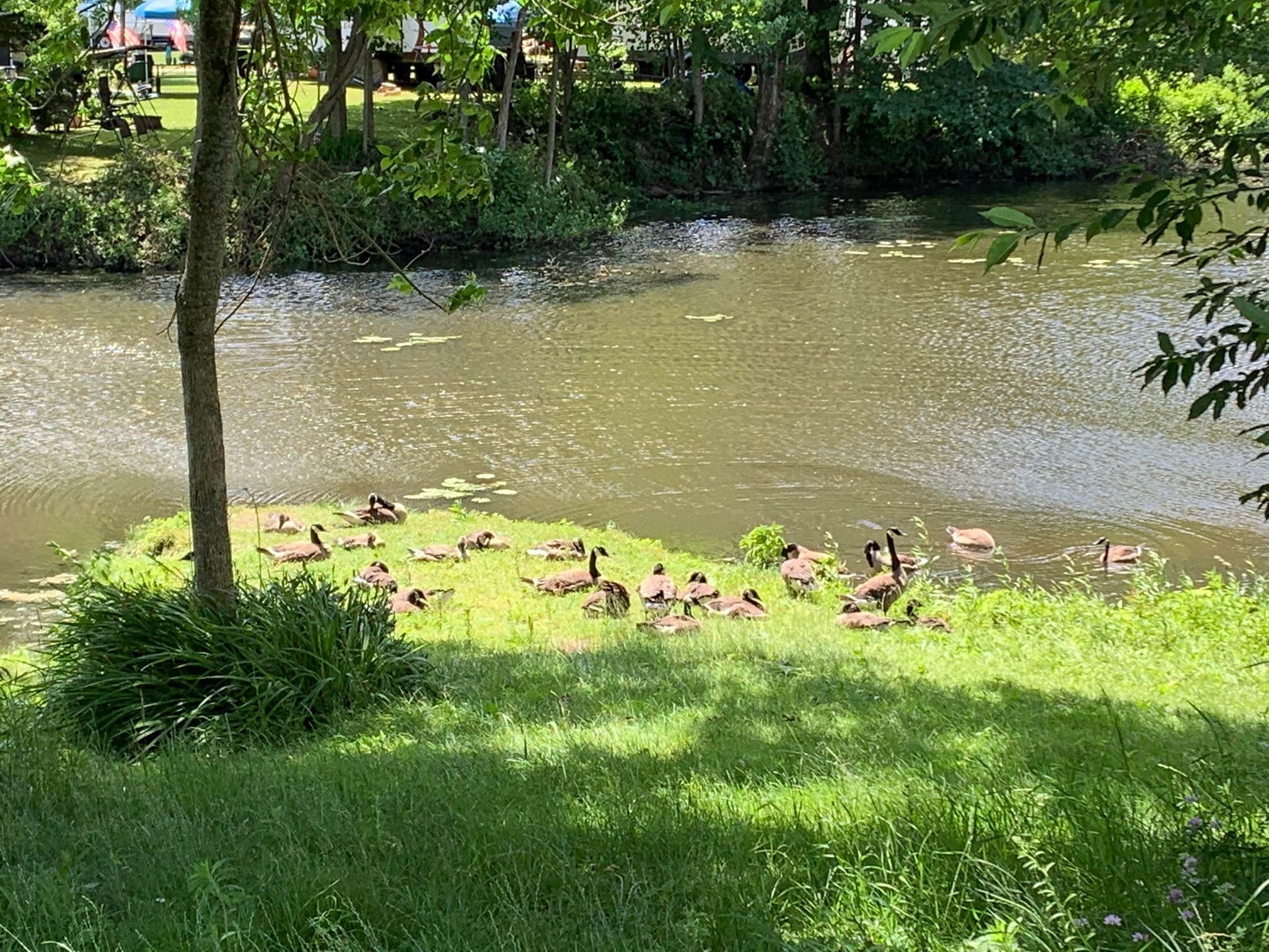 Camper-submitted photo at Mayfair Campground NY near Westernville, NY