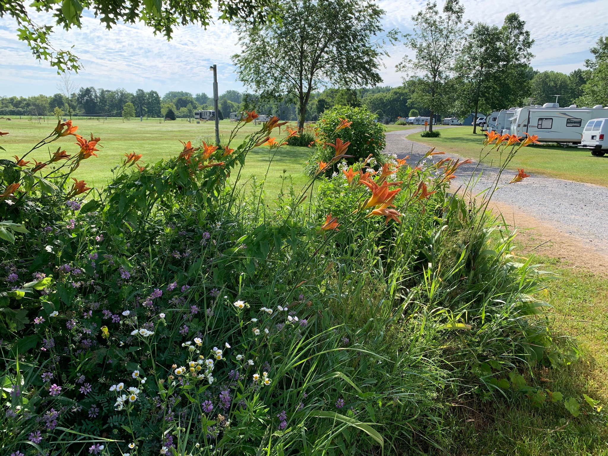 Camper-submitted photo at Mayfair Campground NY near Westernville, NY