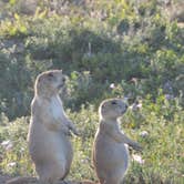 Review photo of Cottonwood Campground — Theodore Roosevelt National Park by Lee D., July 25, 2019