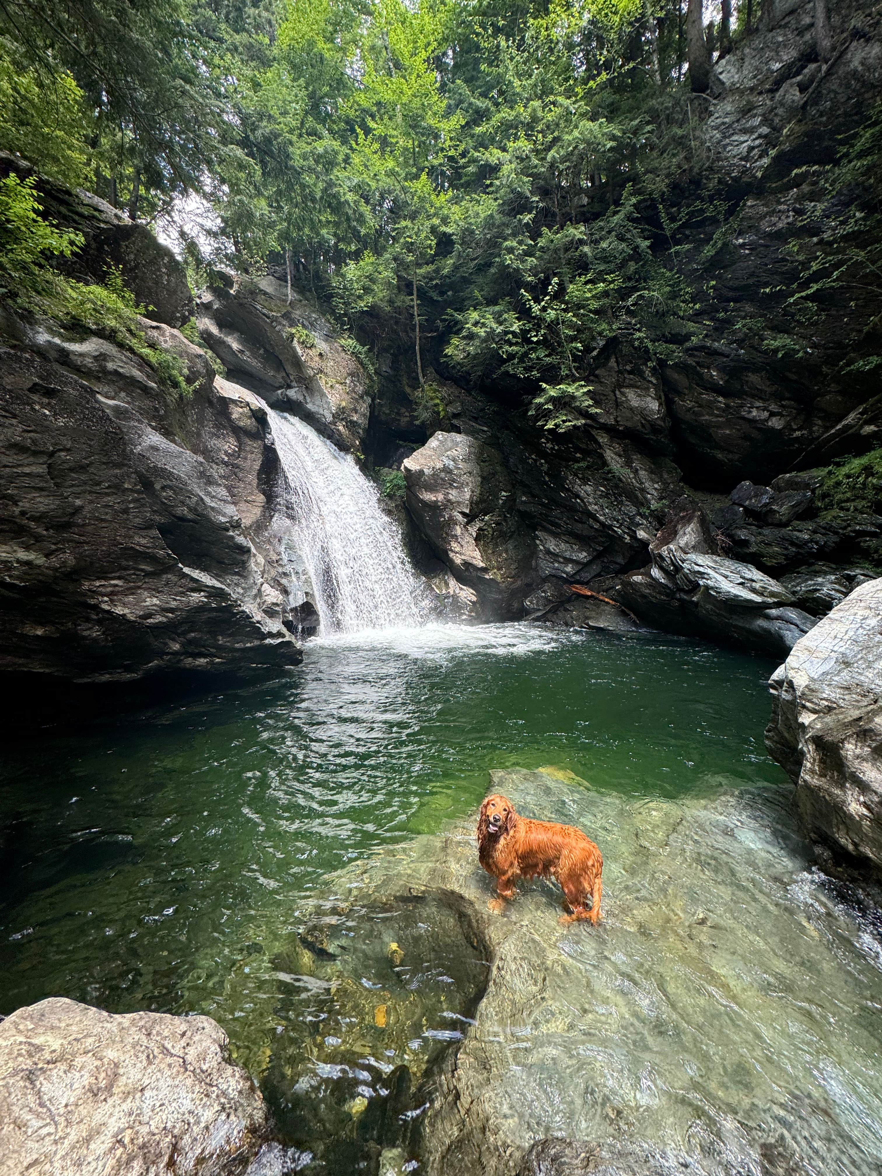 Will K.'s photo of camping with pets at Smugglers Notch RV Village near Swanton, VT