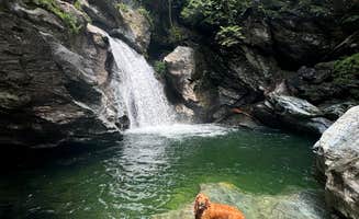 Will K.'s photo of camping with pets at Smugglers Notch RV Village in Vermont