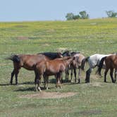 Review photo of Cottonwood Campground — Theodore Roosevelt National Park by Lee D., July 25, 2019