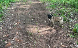 ADRIENNE L.'s photo of camping with pets at Whisper Wind Farm near Portage, MI