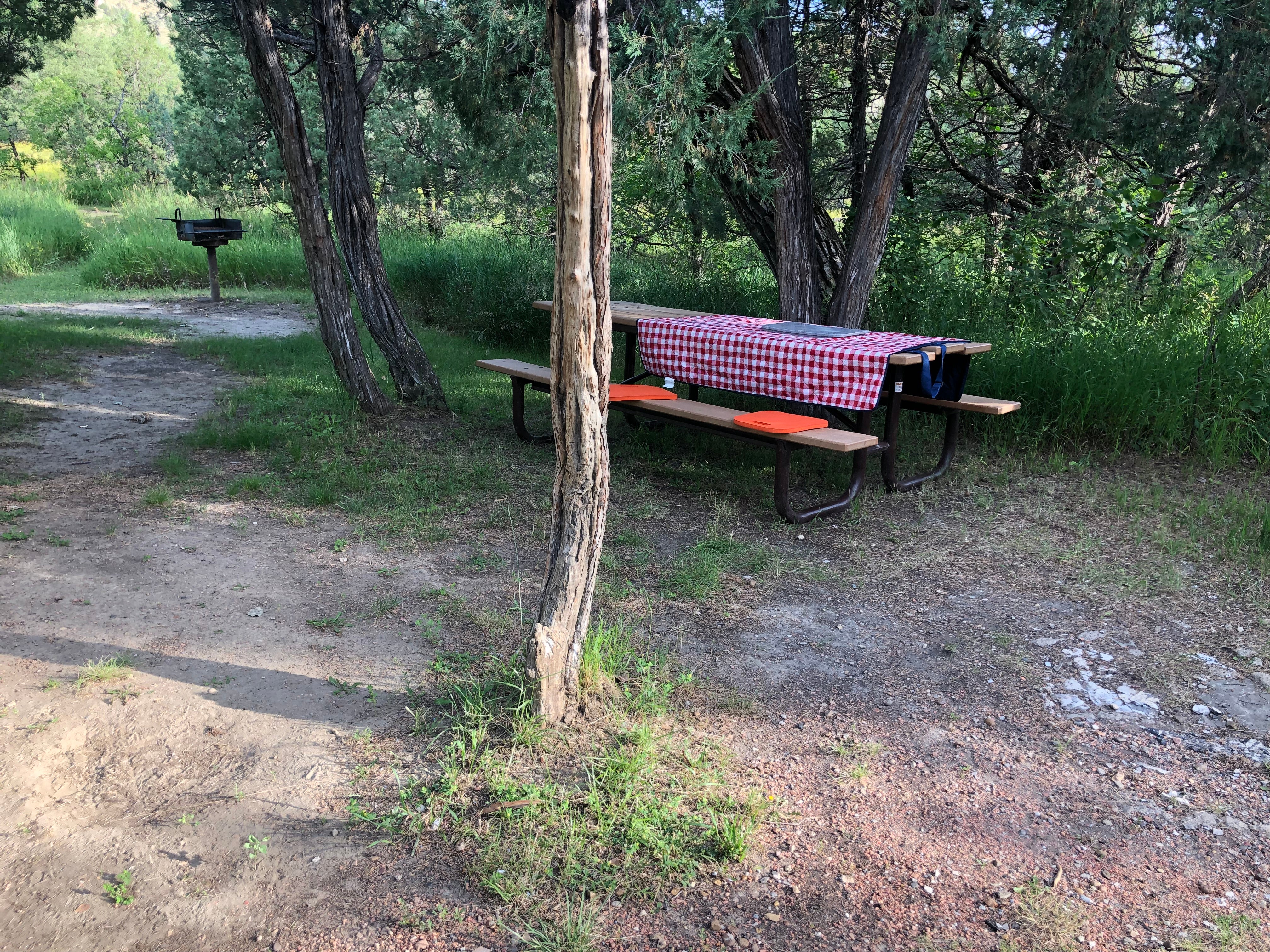 Picnic table pushed up against the trees to take advantage of shade
