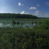 Review photo of Black Moshannon State Park Campground by Ann P., July 25, 2019