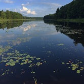 Review photo of Black Moshannon State Park Campground by Ann P., July 25, 2019