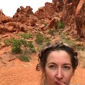 Review photo of BLM Logandale Trails System Primitive Camping by Amanda M., July 25, 2019