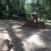 Review photo of Kettle Moraine South Camping — Kettle Moraine State Forest-Southern Unit by Kelsey H., September 21, 2016