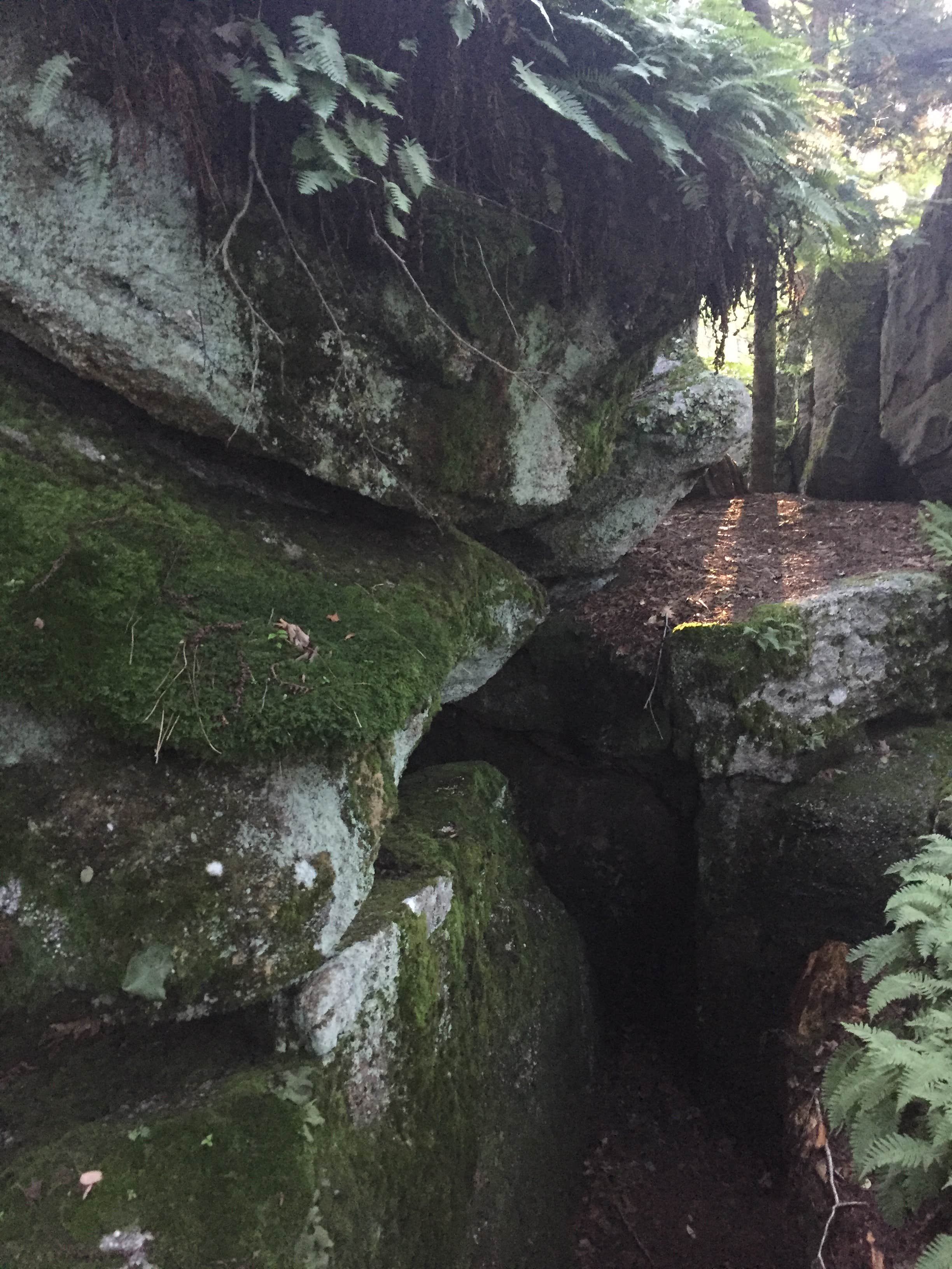 Camper-submitted photo at Bear Heaven Campground near Glady, WV