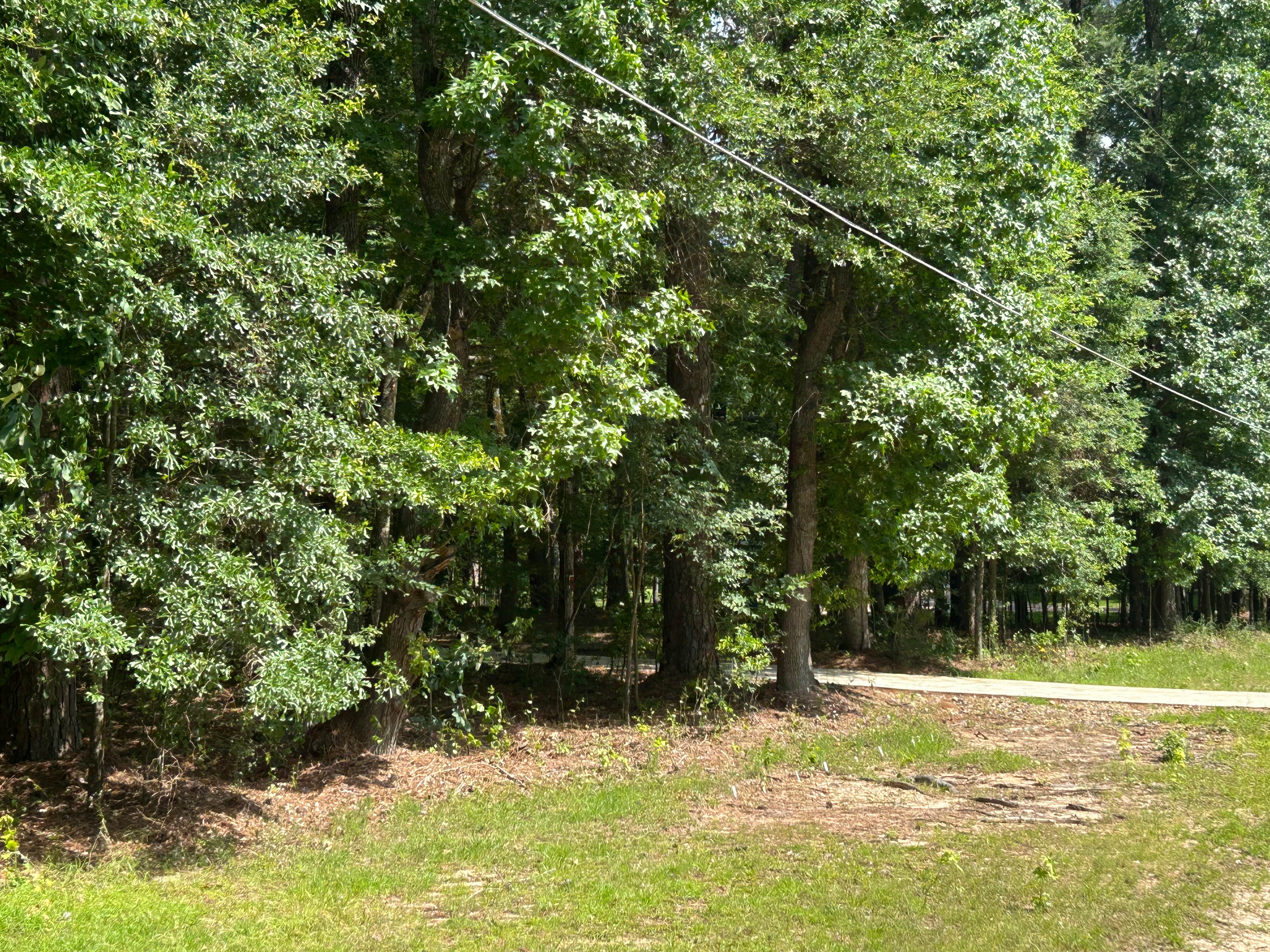 Camper-submitted photo at Longview Piney Woods RV/Tent Site near Longview, TX