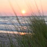 Review photo of Dunewood Campground — Indiana Dunes National Park by Tara S., July 25, 2019