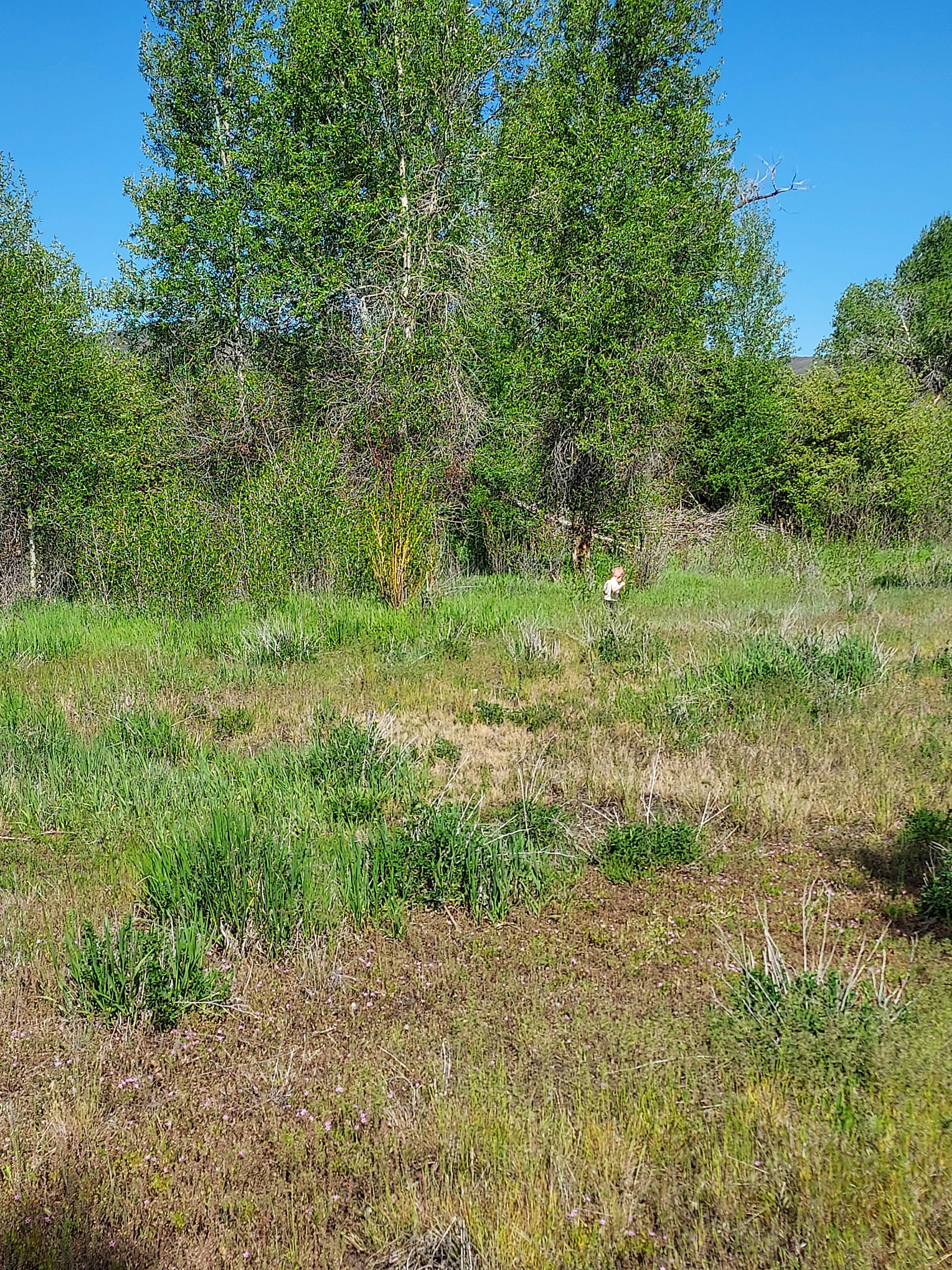Camper-submitted photo at Weber Crossing Campground near Echo, UT