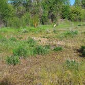 Review photo of Weber Crossing Campground by Melissa H., May 26, 2025