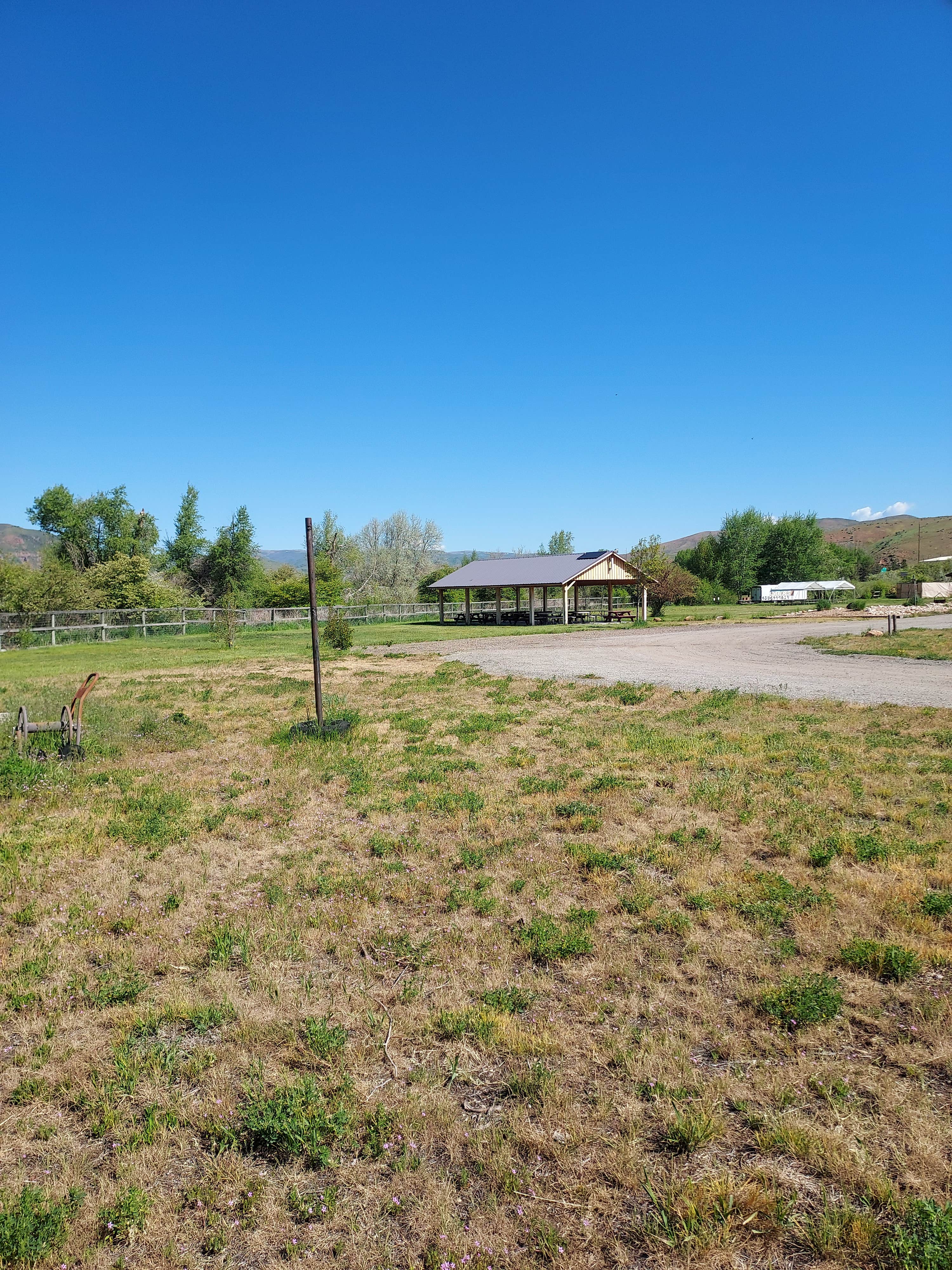 Camper submitted image from Weber Crossing Campground - 3