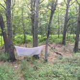 Review photo of Dunewood Campground — Indiana Dunes National Park by Tara S., July 25, 2019
