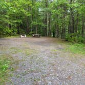 Review photo of Catskill/Kenneth L Wilson Campground by C R., May 27, 2025