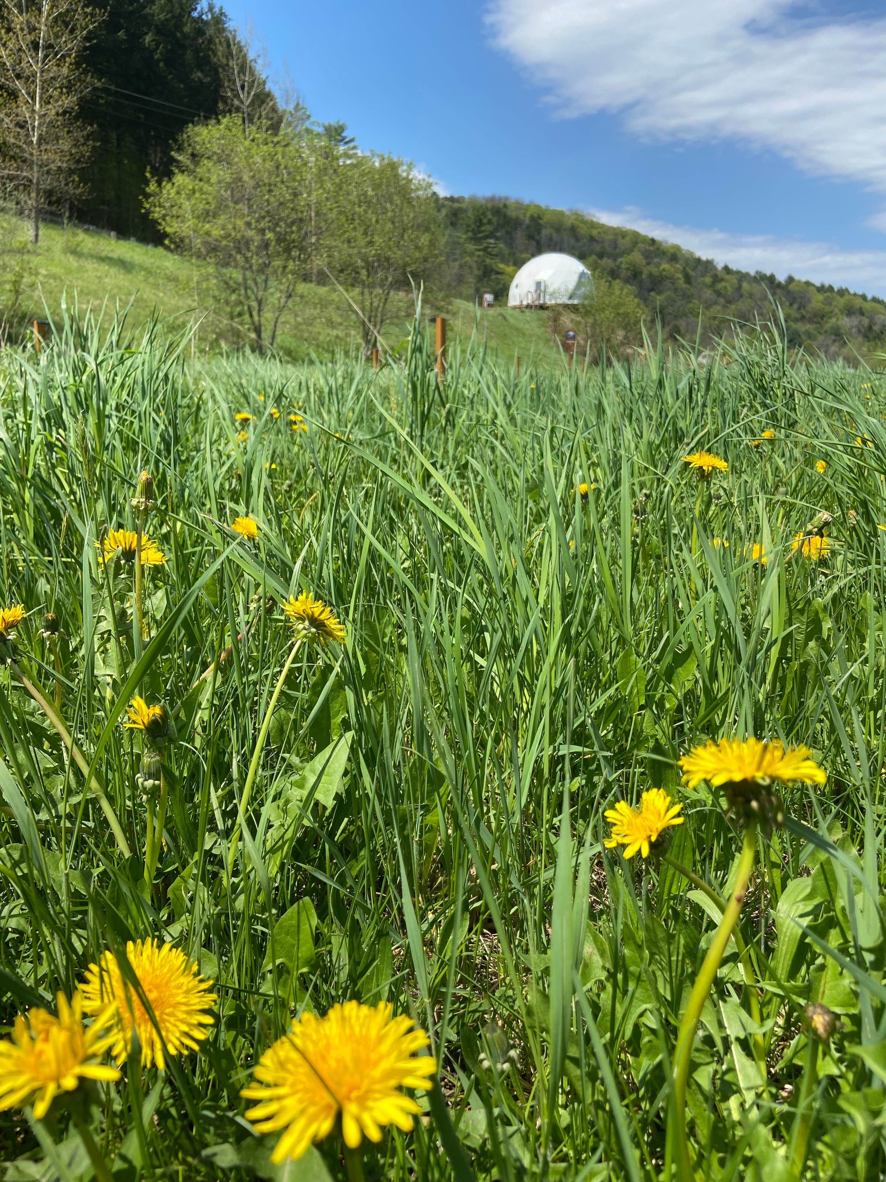 Camper-submitted photo at Dome@Meadows near Randolph, VT