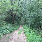 Review photo of Ottawa Lake Campground — Kettle Moraine State Forest - Southern Unit by Kelsey H., September 21, 2016