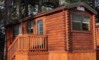 Chris J.'s photo of glamping accommodations at Anvil Campground near Cheriton, VA
