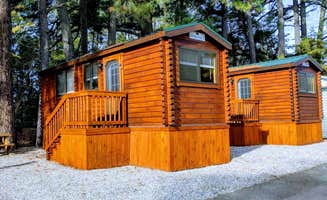Chris J.'s photo of glamping accommodations at Anvil Campground near Fort Lee, VA