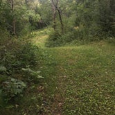 Review photo of Kettle Moraine South Camping — Kettle Moraine State Forest-Southern Unit by Kelsey H., September 21, 2016