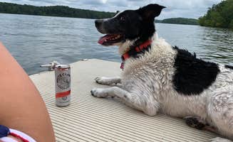 Brooklyn L.'s photo of camping with pets at Boswell Landing Campground near Eva, TN