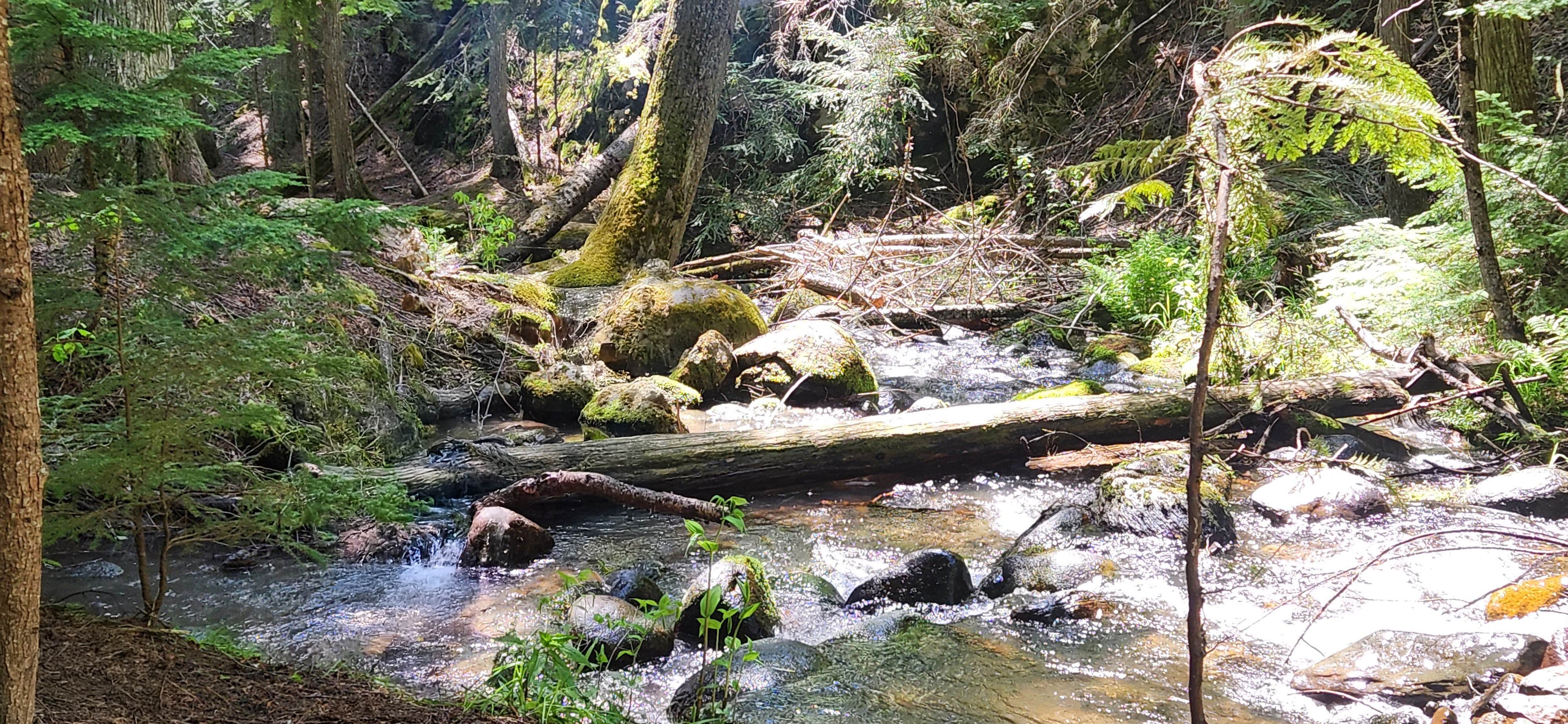 Camper-submitted photo at Cee Cee Ah Creek near Kootenai, ID