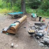 Review photo of North Fork Coeur D'Alene River by Joe B., May 27, 2025