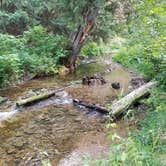 Review photo of North Fork Coeur D'Alene River by Joe B., May 27, 2025