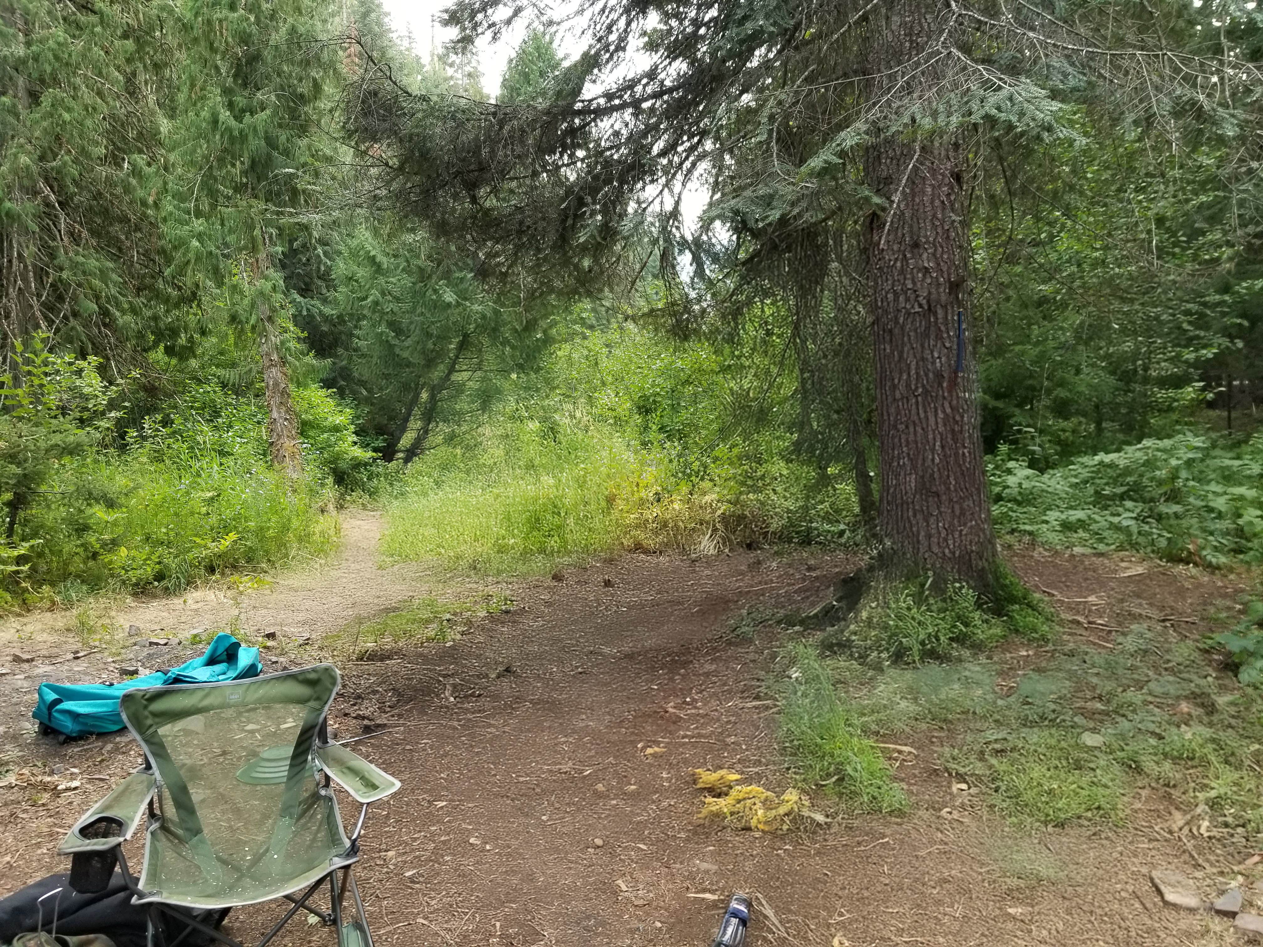 Camper submitted image from North Fork Coeur D'Alene River - 4