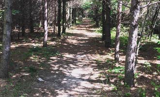 Camping near Sheltering Oaks Campground: Kettle Moraine South Camping — Kettle Moraine State Forest-Southern Unit, Eagle, Wisconsin