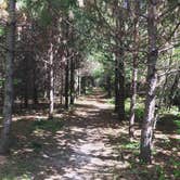 Review photo of Kettle Moraine South Camping — Kettle Moraine State Forest-Southern Unit by Kelsey H., September 21, 2016