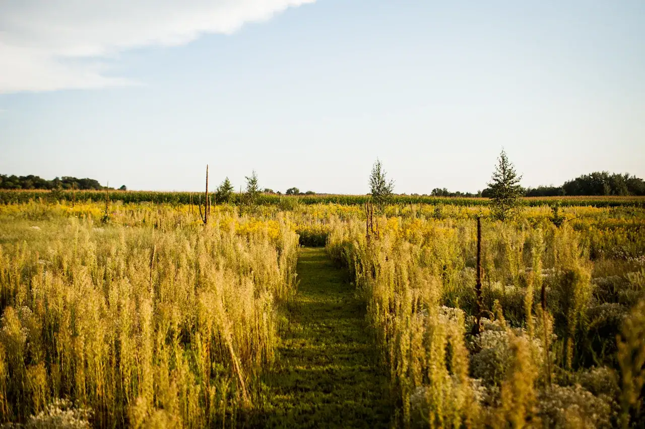 Camper-submitted photo at Heirloomista near Grantsburg, WI
