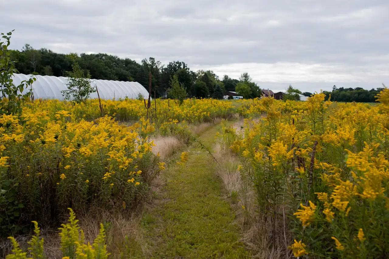 Camper-submitted photo at Heirloomista near Grantsburg, WI